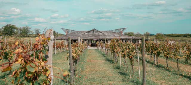 Visita alla cantina Gamboa