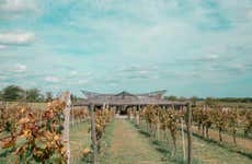 Visit to Bodega Gamboa Winery