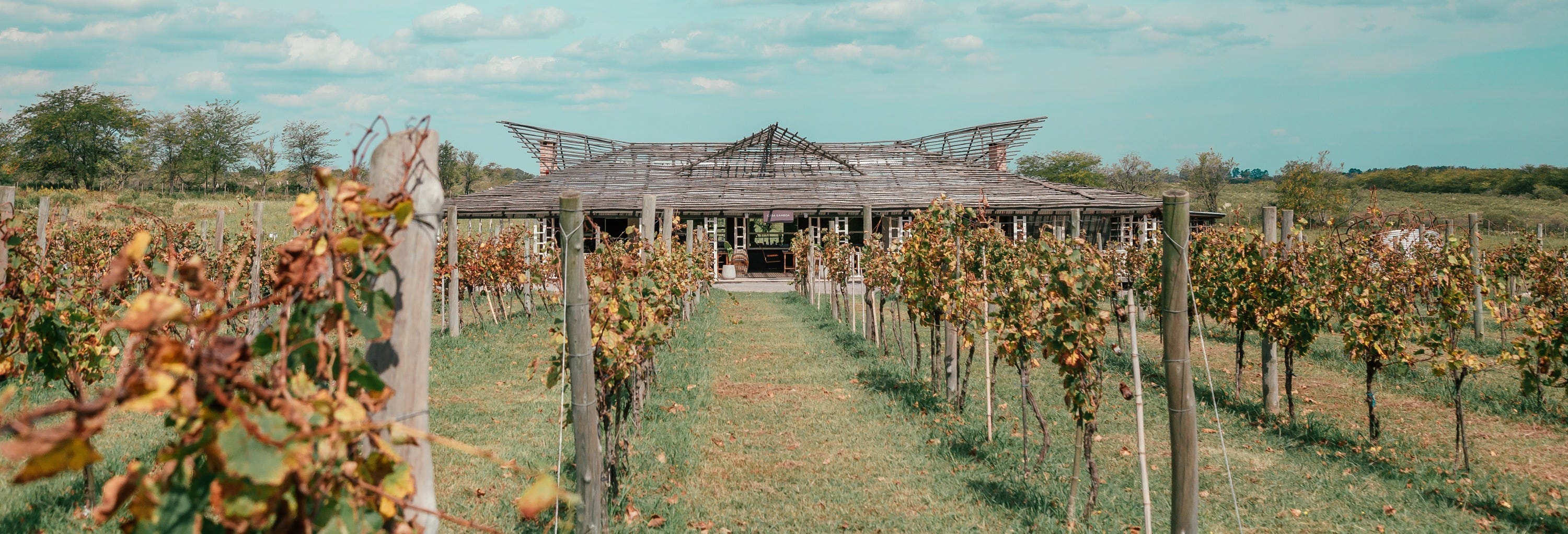 Visit to Bodega Gamboa Winery