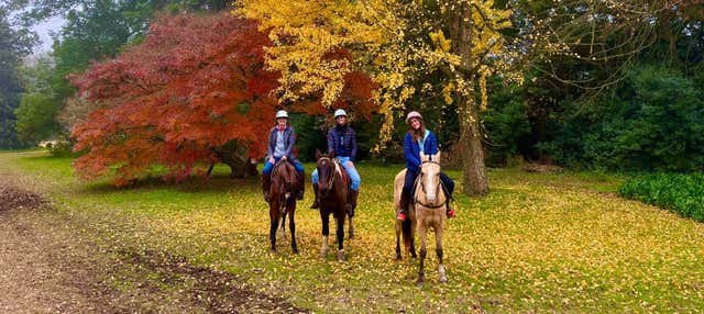 Passeggiata a cavallo all'Estancia Villa María