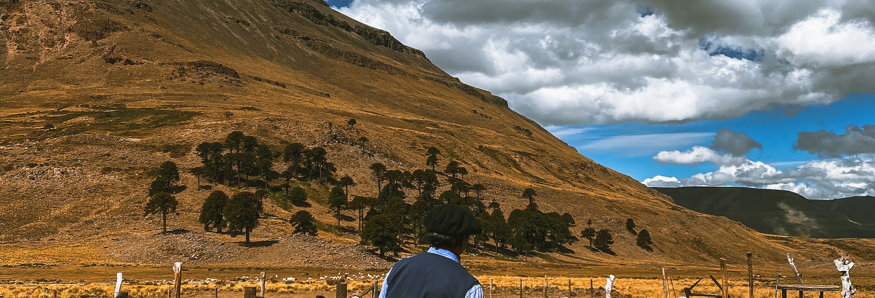 Mapuche Millain Currical Community Excursion