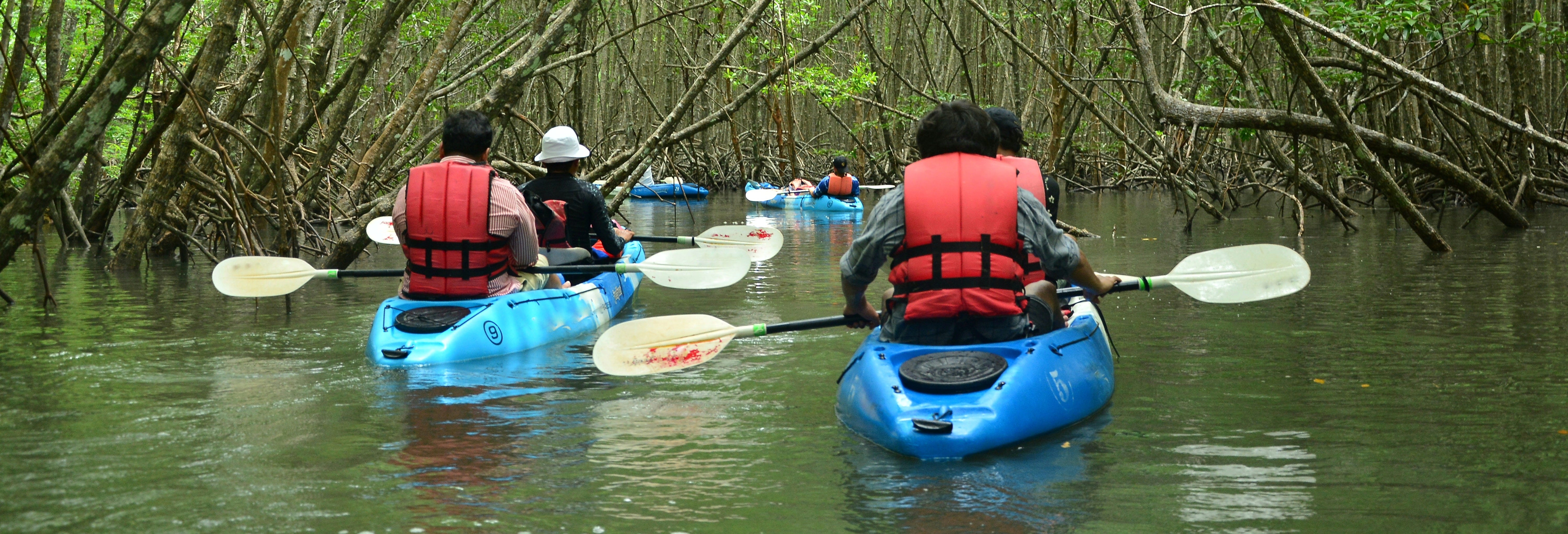 Caranchos River Beach Rowing Tour