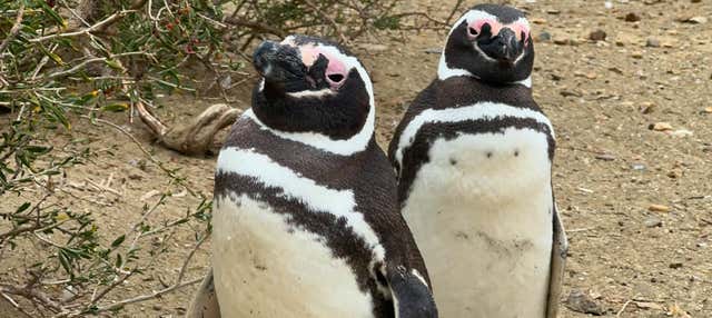 Escursione al Parco nazionale di Monte León