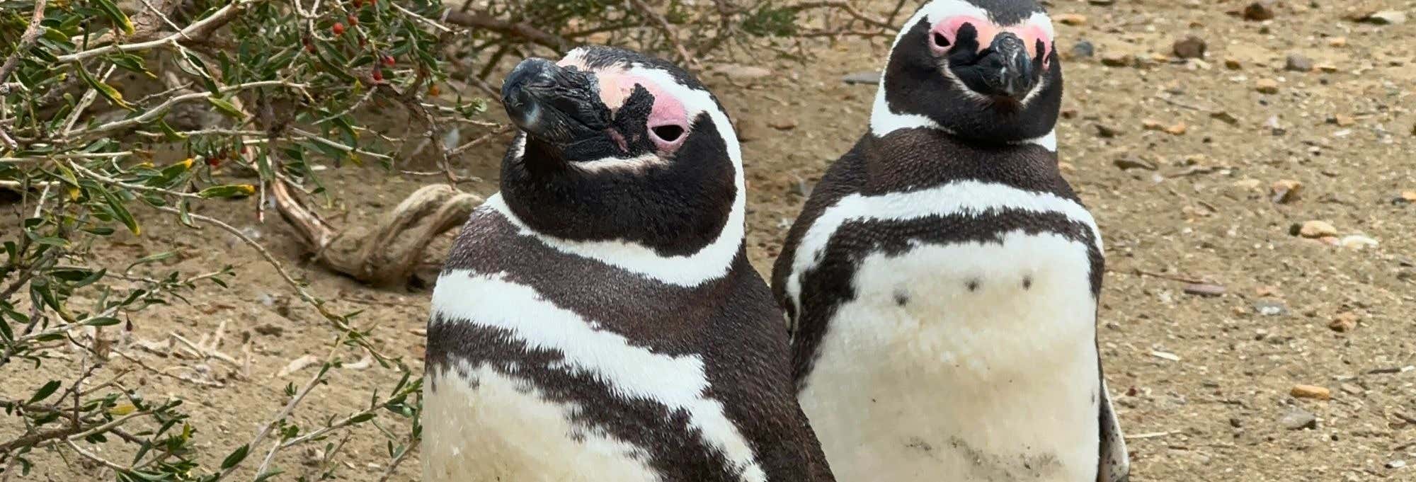 Escursione al Parco nazionale di Monte León