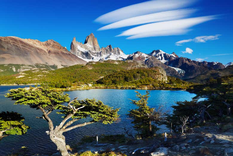 Imagen 8