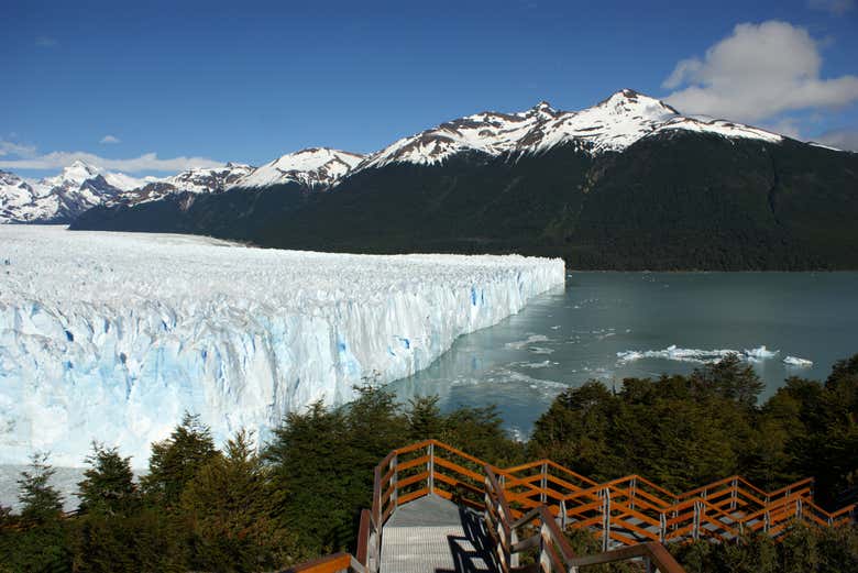Imagen 5