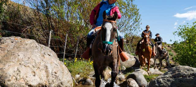 Passeggiata a cavallo all'Estancia 25 de Mayo