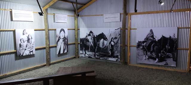 Tour di El Calafate e Punta Walichu