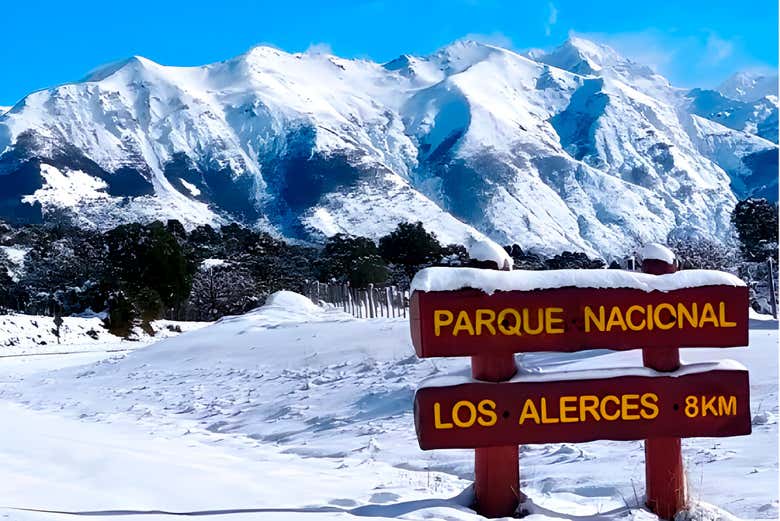 Imagen 3