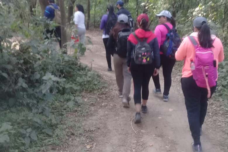 Imagen 7