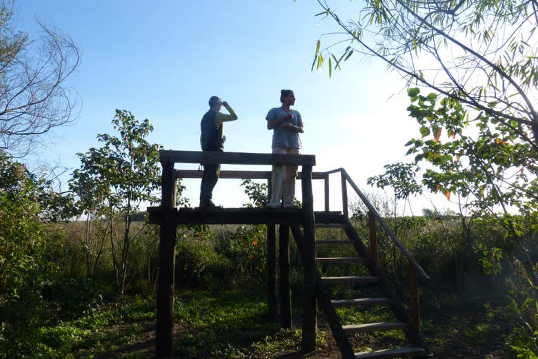 Imagen 5