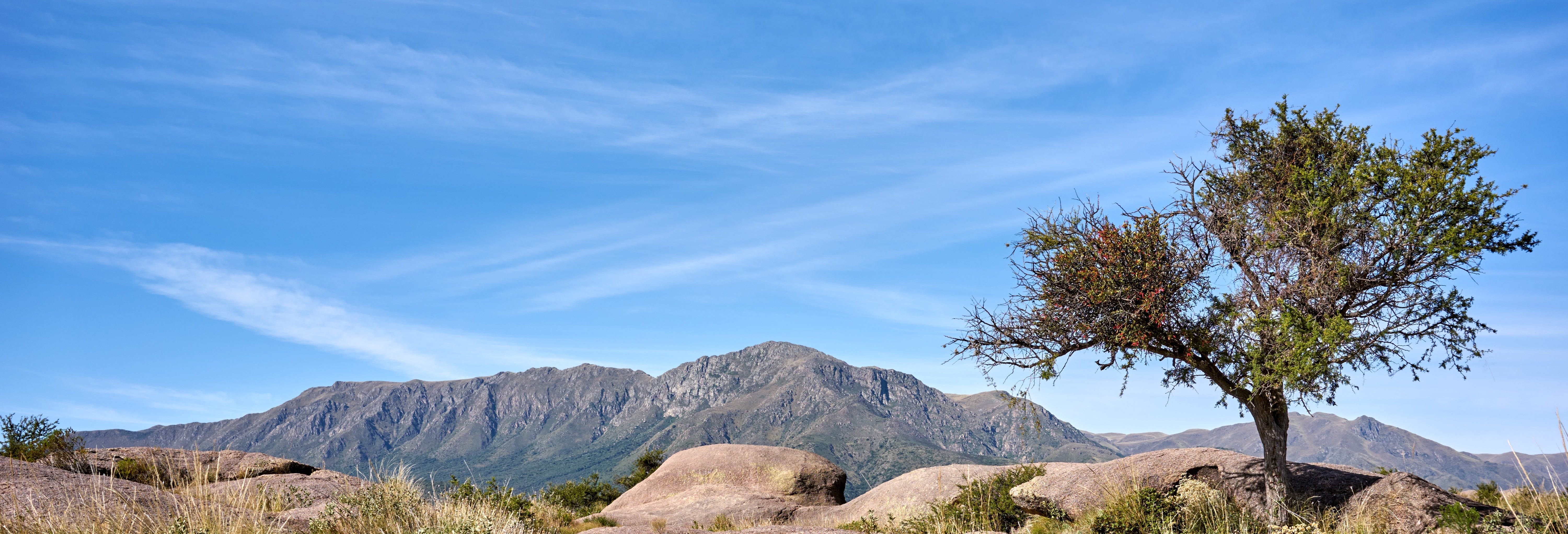 Horseback Riding Through Cordoba Sierra