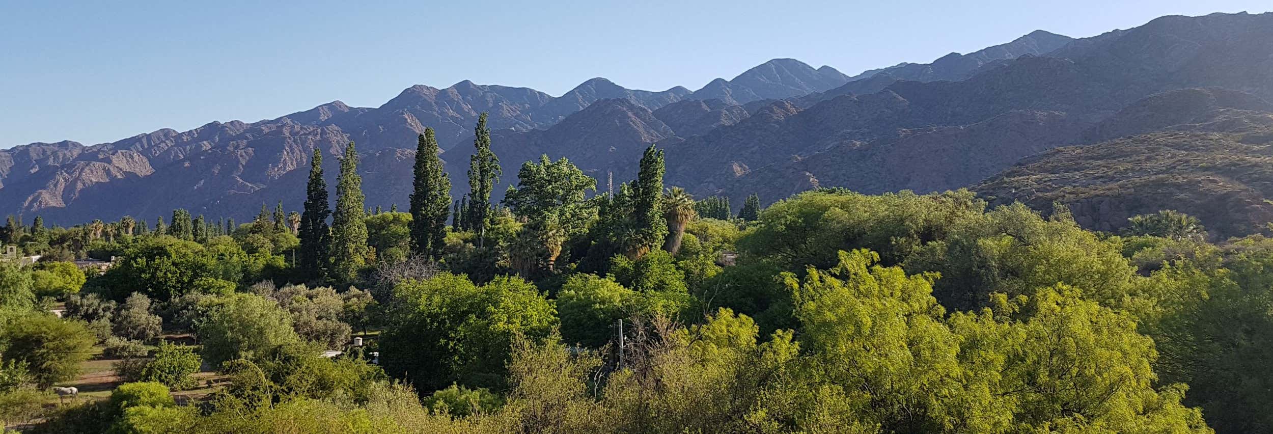 Excursión a Sanagasta y el Parque de Dinosaurios