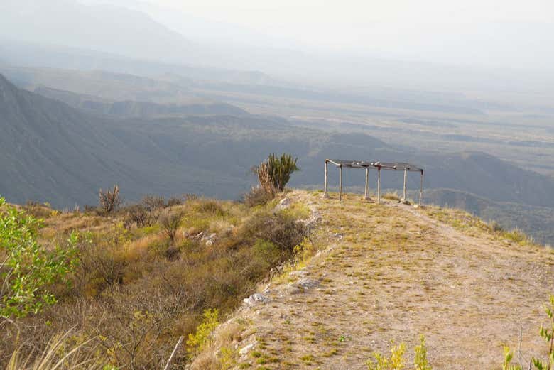 Imagen 7