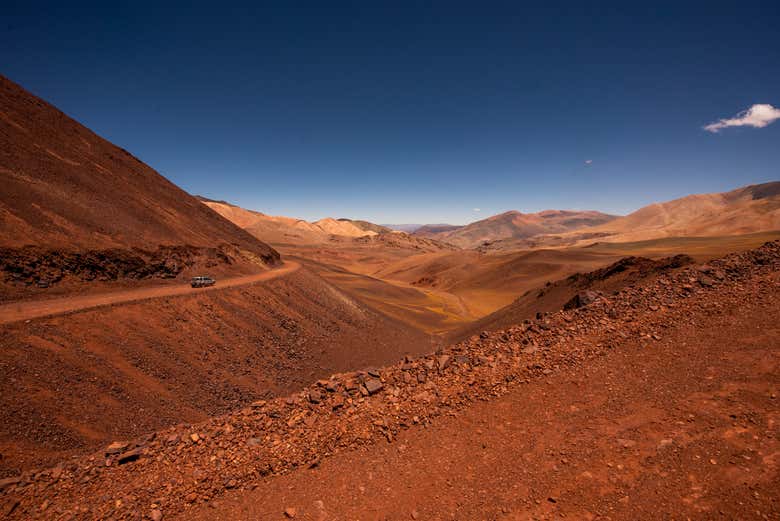 Imagen 5