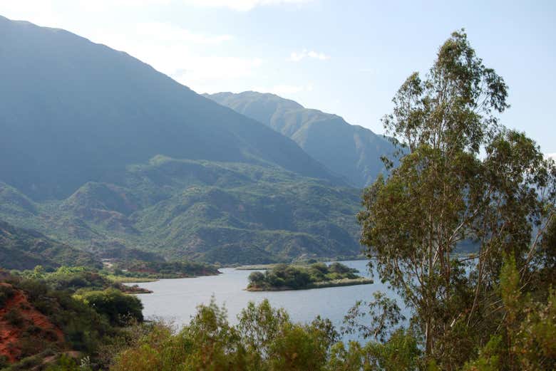 Imagen 5