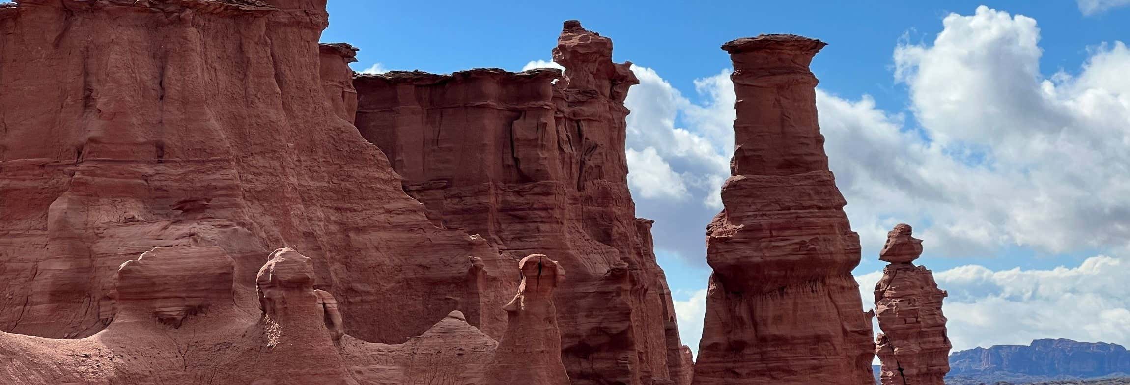 Vallée de la Lune, Talampaya et Laguna Brava en 2 jours