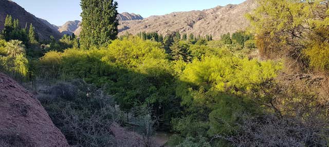 Cerro de la Cruz 4x4 Tour