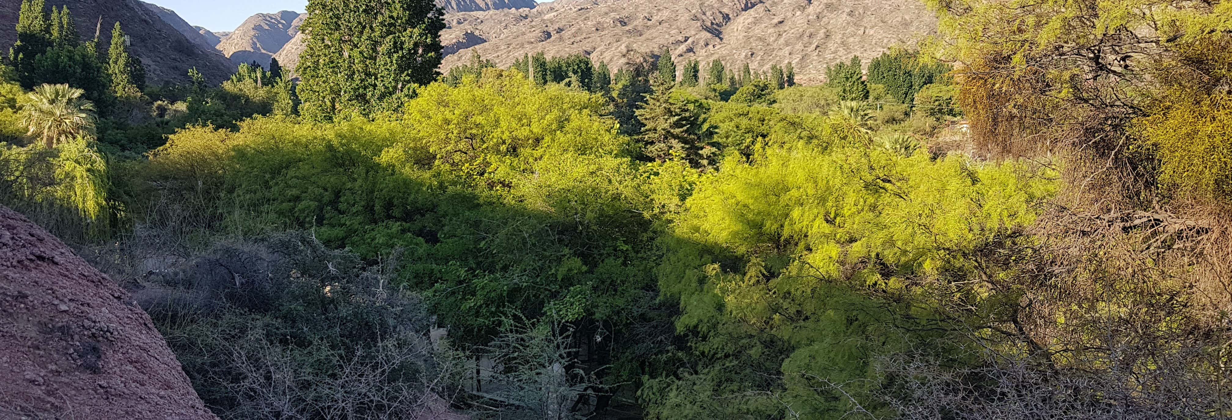 Balade en 4x4 au Cerro de la Cruz