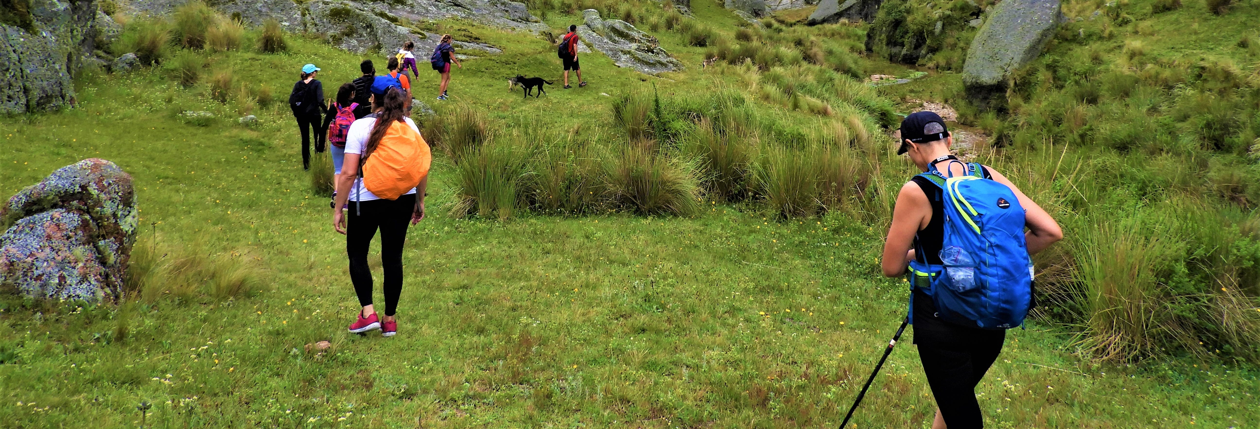 Los Gigantes Private Hiking Tours