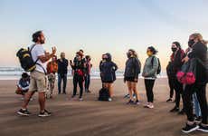Mar del Plata Coastal Hiking Tour