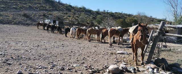 Balade à cheval dans le domaine Las Hermosas + Asado argentin