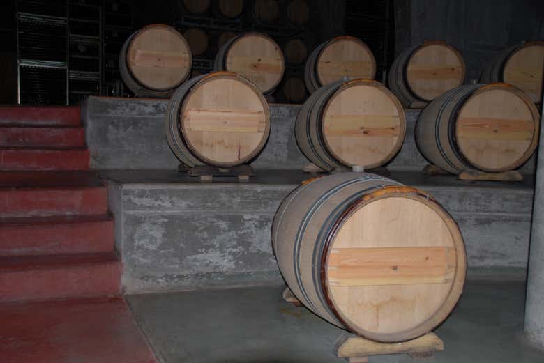 Imagen 9