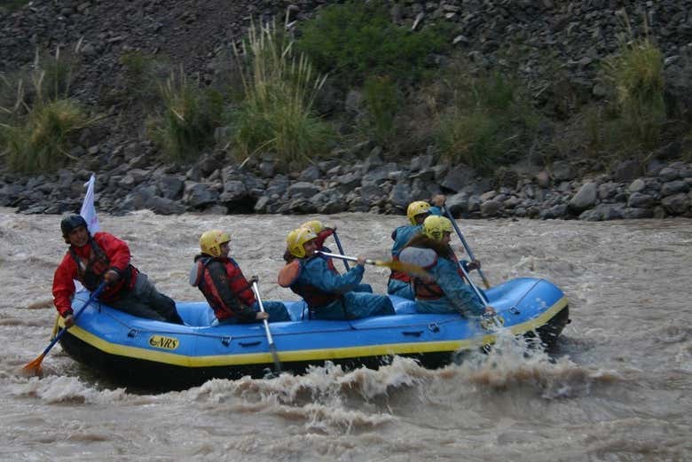 Imagen 5