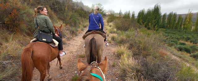 Balade à cheval à Lunlunta