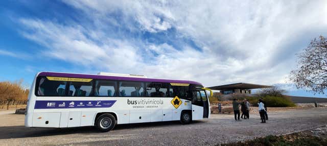 Tour della zona vitivinicola del Camino del Vino El Cepillo