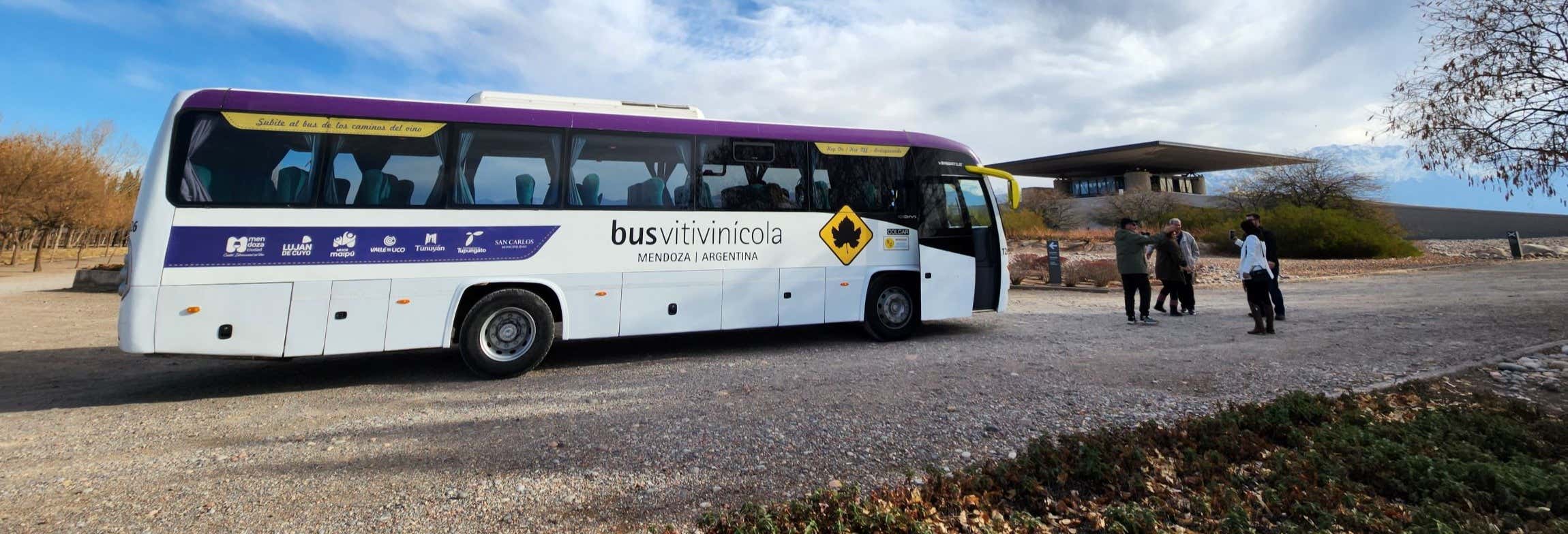 Tour della zona vitivinicola del Camino del Vino El Cepillo