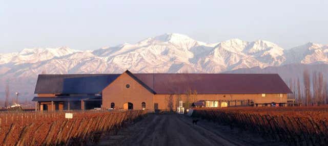 Tour del Malbec nella zona vitivinicola di Luján de Cuyo