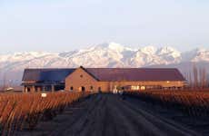 Malbec Tour of the Luján de Cuyo Wine Region