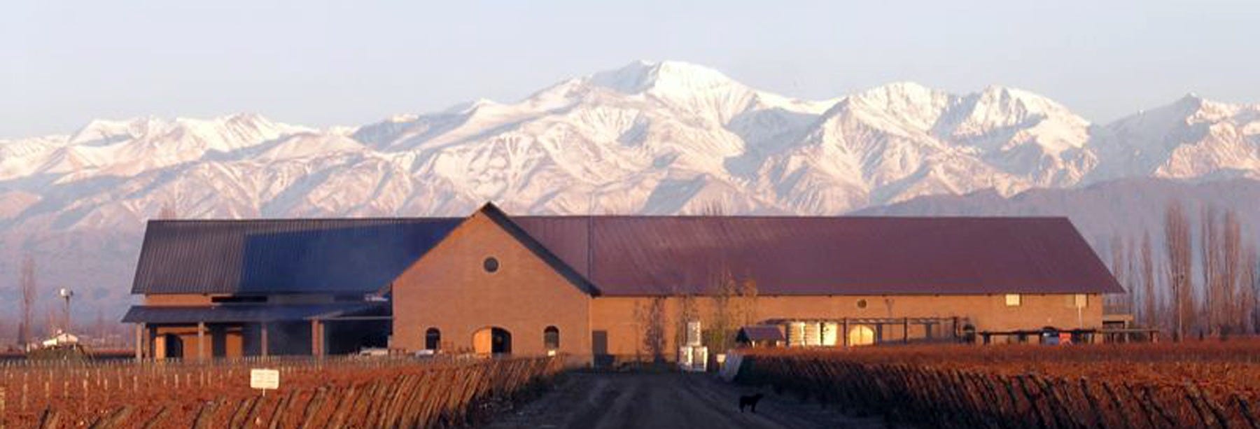 Malbec Tour of the Luján de Cuyo Wine Region