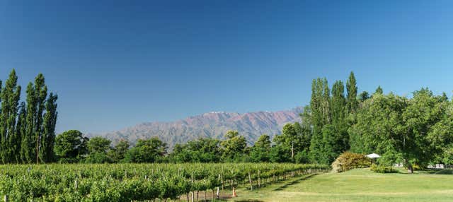 Tour privato delle cantine della Valle de Uco