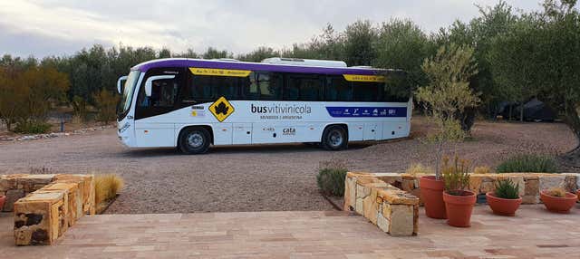 Tour del sud della zona vitivinicola di Luján de Cuyo