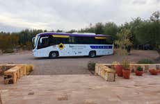 South Luján de Cuyo Wine Region Tour