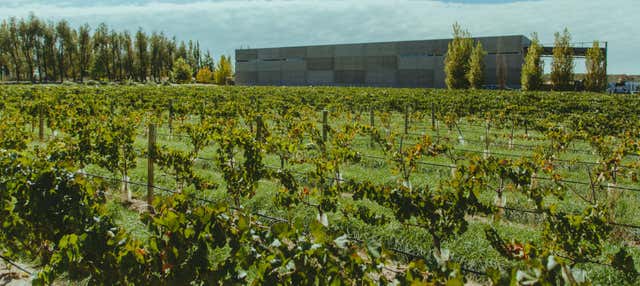 Visita alla cantina Huarpe Riglos