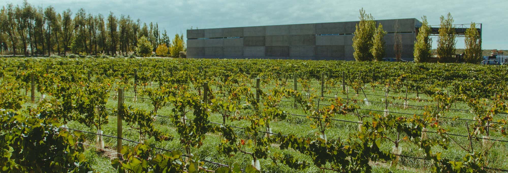 Visita alla cantina Huarpe Riglos