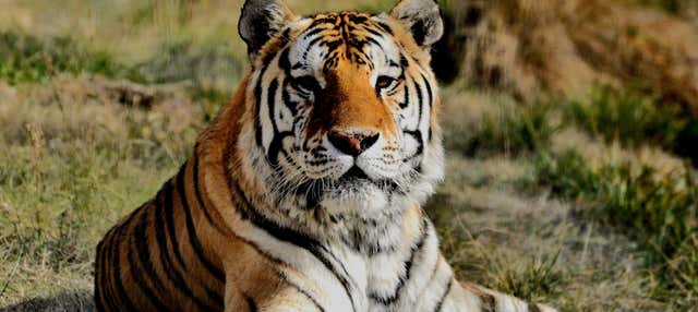 Tour della valle del Río Negro + Ecoparque Bubalcó