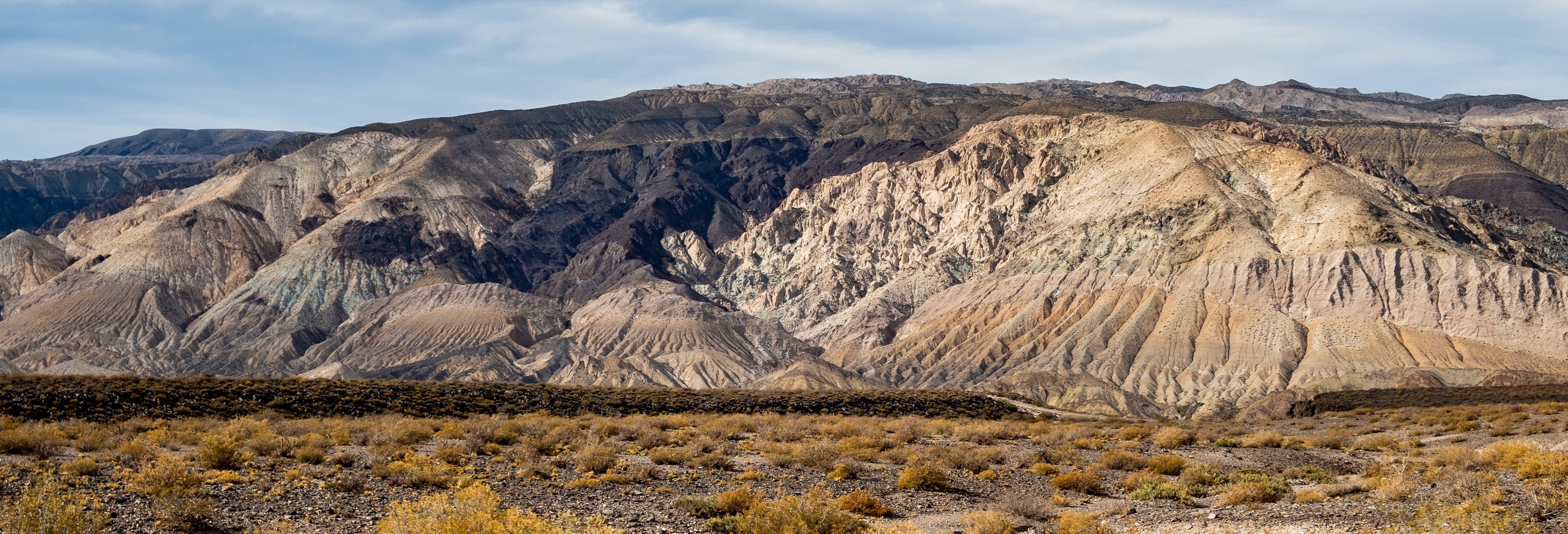 Patagonian Steppe + Bubalcó Zoo Tour