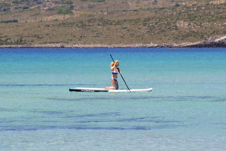 Imagen 7