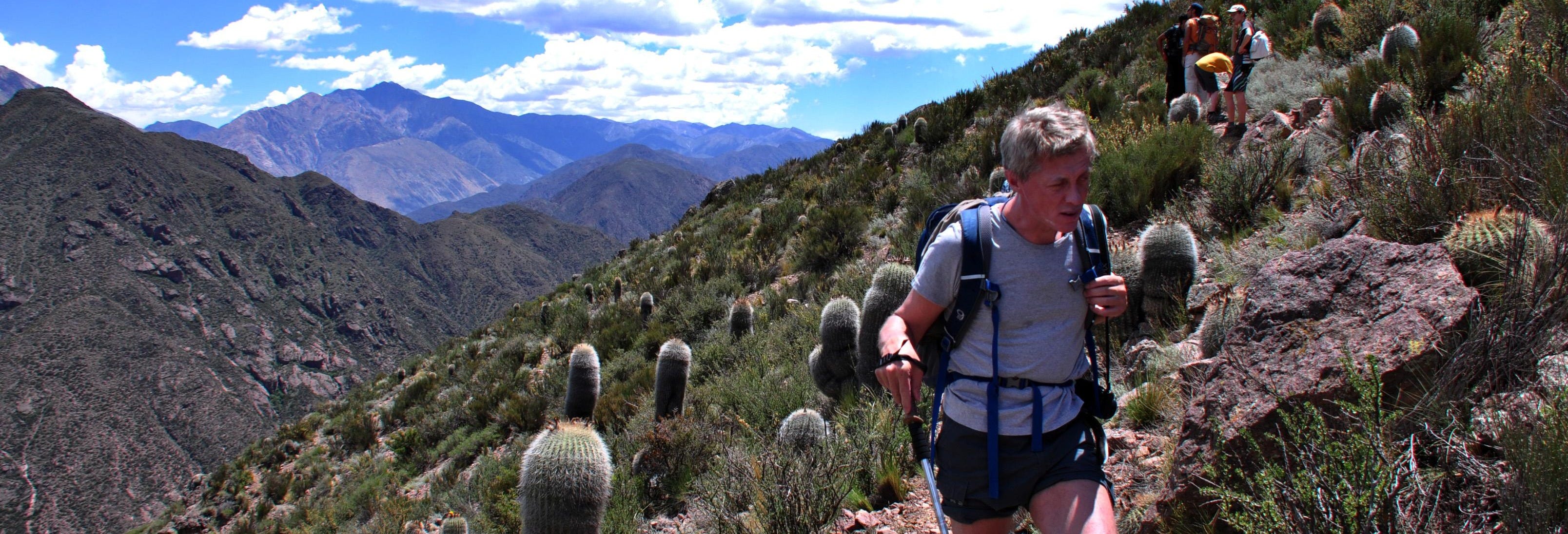 Advanced Hiking in Potrerillos