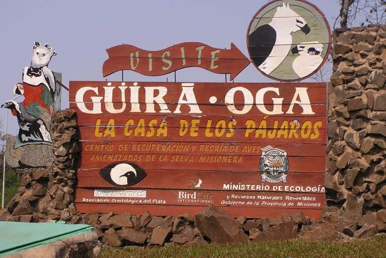 Imagen 5