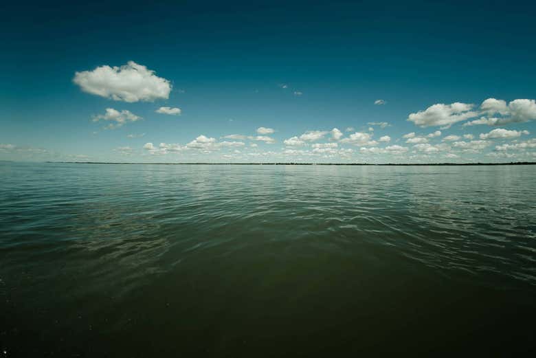 Imagen 8