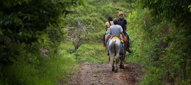 Giro a cavallo nella selva di Iguazú