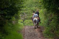 Iguazu Jungle Horseback Ride