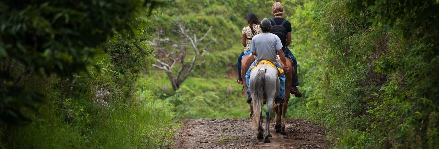 Passeio a cavalo pela selva de Iguazú