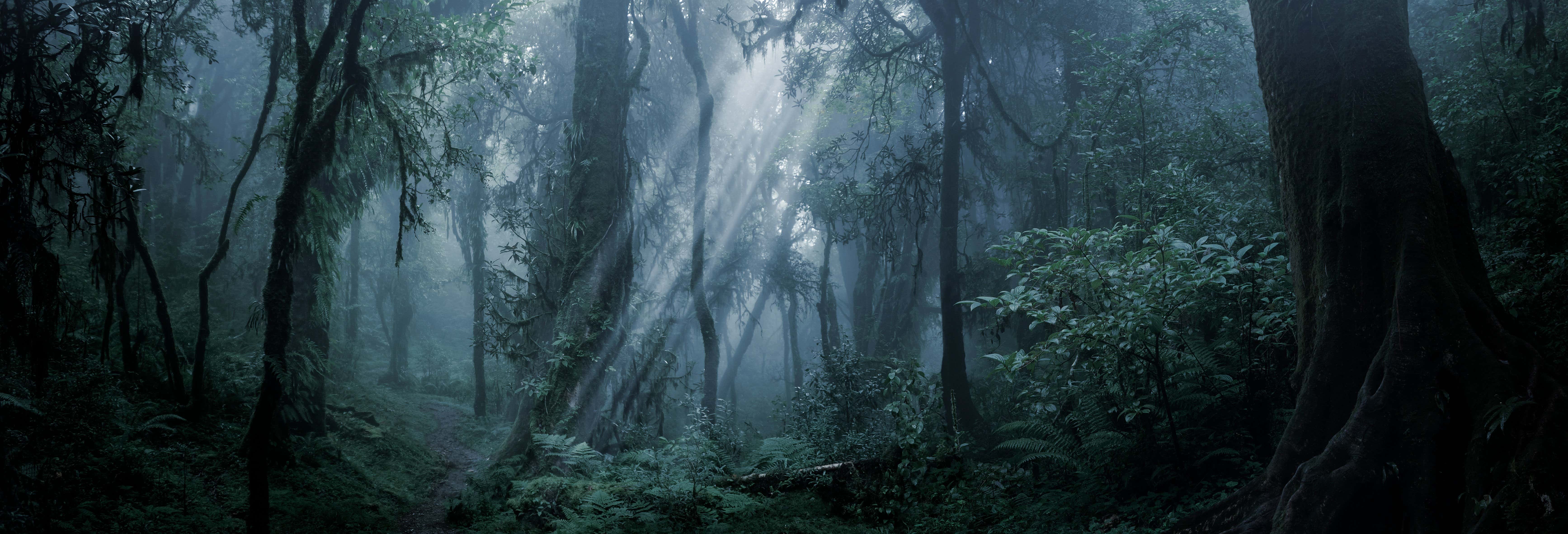 Iryapú Nature Reserve Nighttime Hike