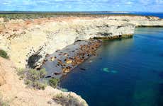 Punta Loma Sea Lion Tour